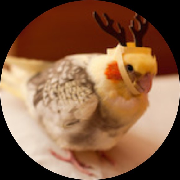 birdiemee